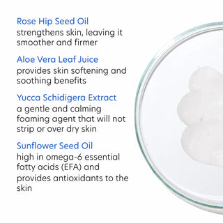 PCA Skin Creamy Cleanser key ingredients including rose hip seed oil, aloe vera leaf juice, yucca schidigera extract, and sunflower seed oil