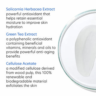 PCA Skin Daily Exfoliant key ingredients: Salicornia Herbacea Extract for hydration, Green Tea Extract for antioxidant benefits, and biodegradable Cellulose Acetate for exfoliation