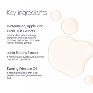 PCA Skin Hydrating Toner key ingredients: Watermelon, Apple, and Lentil Fruit Extracts for antioxidant protection and moisture retention, Jania Rubens Extract for antioxidant benefits, and Evening Primrose Oil to calm skin.