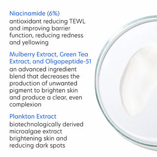 PCA Skin Vitamin B3 Brightening Serum key ingredients: 6% Niacinamide, Mulberry and Green Tea Extracts, Oligopeptide-51, and Plankton Extract to support the skin barrier, brighten skin, and reduce visible discoloration